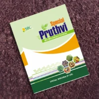 Pruthvi